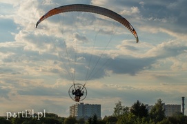 Patrzą na świat z góry, ale nie ryzykują
