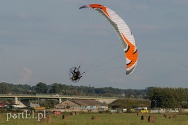 Patrzą na świat z góry, ale nie ryzykują