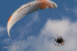 Patrzą na świat z góry, ale nie ryzykują