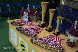 Elbląg Cup, czyli wyjątkowa atmosfera pod siatką