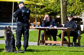 Funkcjonariusze na czterech łapach pokazali, co potrafią