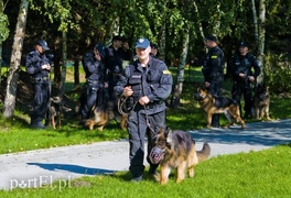 Funkcjonariusze na czterech łapach pokazali, co potrafią