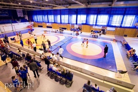 Wyniki Memoriału im. Tadeusza Jaworskiego  (zapasy)