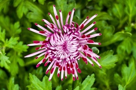 Postaw na piękno i dobrą jakość