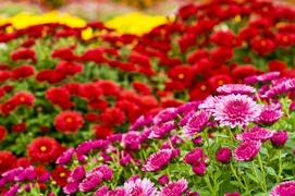 Postaw na piękno i dobrą jakość