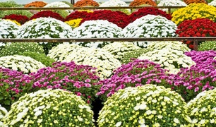 Postaw na piękno i dobrą jakość