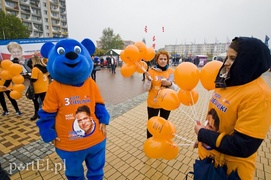 Piknikowe łowienie wyborców