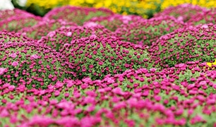 Warto o nich pamiętać