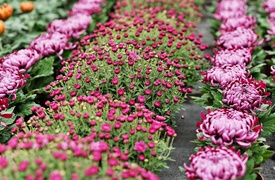 Warto o nich pamiętać