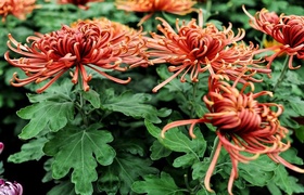 Warto o nich pamiętać