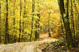 Ażurowy szlak dla rowerzystów