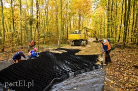 Ażurowy szlak dla rowerzystów