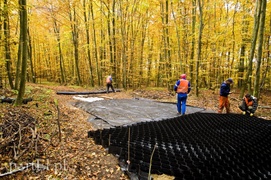 Ażurowy szlak dla rowerzystów