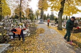 Tylko w Polsce tak się dba o groby...