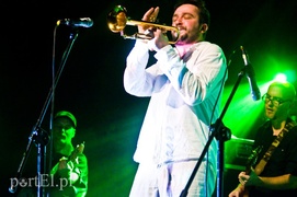 Reggae daje moc