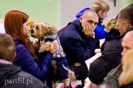 Uchodźcy z Ukrainy już na polskiej ziemi