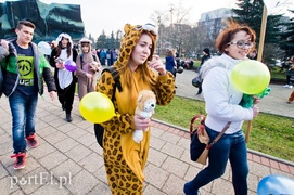 By dzieciom nie działa się krzywda