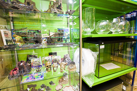 Oni potrafią wgryźć się w temat