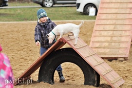 Psy będą mogły się tu wyszaleć do woli