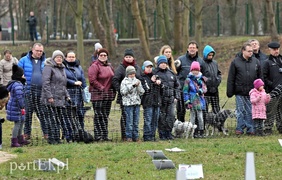 Psy będą mogły się tu wyszaleć do woli