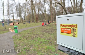 Psy będą mogły się tu wyszaleć do woli