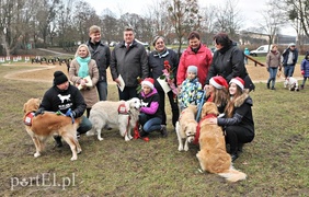 Psy będą mogły się tu wyszaleć do woli
