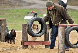Psy będą mogły się tu wyszaleć do woli