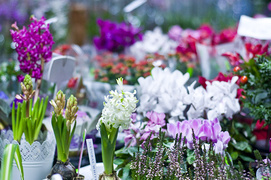 U nich znajdziesz to, czego szukasz