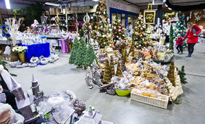 U nich znajdziesz to, czego szukasz