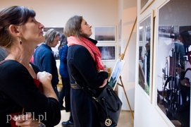 Żuławy kocham, moją małą Amerykę