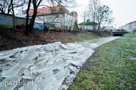 Kra zatrzymała Kumielę
