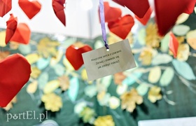 Jak elblążanie radzili sobie z miłością