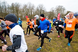 Półmaraton z kwiatami i tortem
