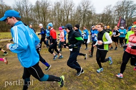 Półmaraton z kwiatami i tortem