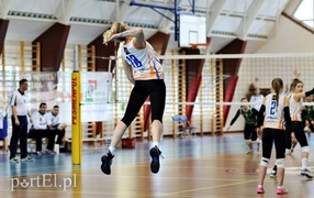 2:0 dla Orła Elbląg (siatkówka)