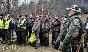 (Nie)obliczalni mieszkańcy lasu