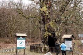 Nieznane historie okolic Elbląga