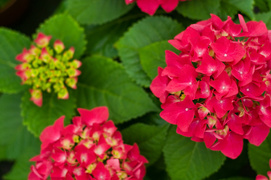 Zaproś wiosnę do siebie