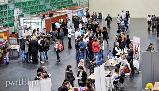 Praca czeka na każdego?