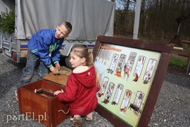 Elblążanie posadzili 700 choinek