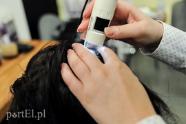 Pierwszy tydzień Metamorfozy