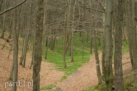 Jelenia Dolina: obraz nędzy i rozpaczy