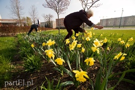 Żołty - kolor nadziei