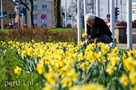 Żołty - kolor nadziei