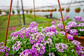 Niech Twoja przestrzeń zakwitnie na nowo