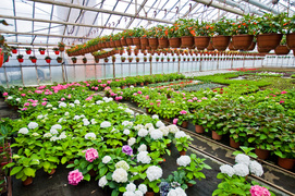 Niech Twoja przestrzeń zakwitnie na nowo