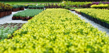 Niech Twoja przestrzeń zakwitnie na nowo