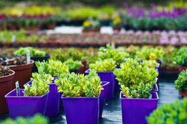 Niech Twoja przestrzeń zakwitnie na nowo