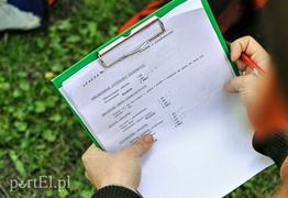 Wypadki w parku Planty