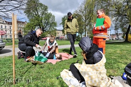 Wypadki w parku Planty